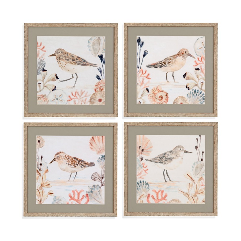 Shell Peppers Framed Print (Set of 4) – White