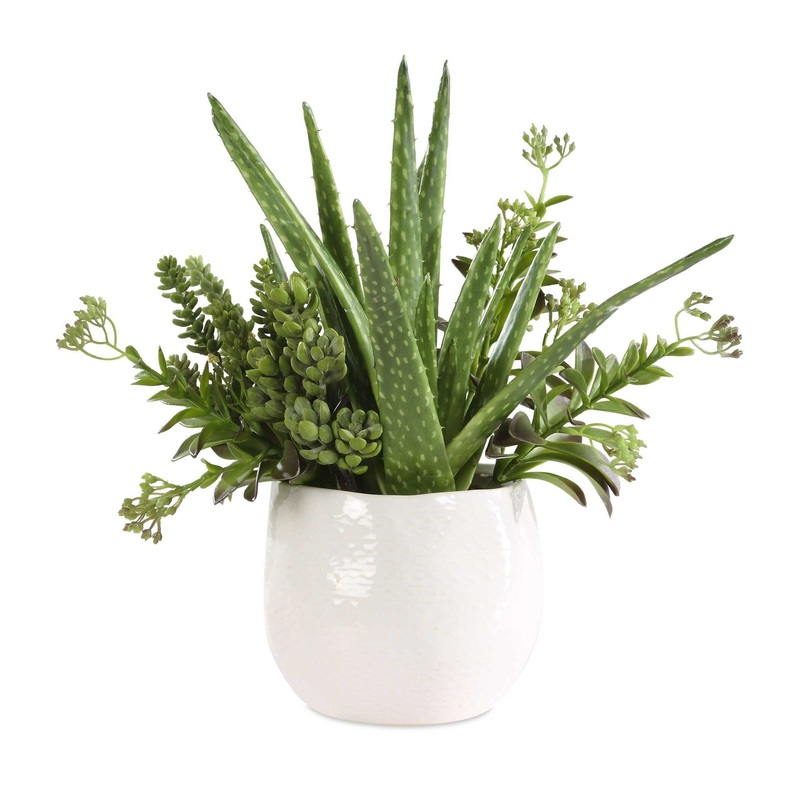 Sundown Succulent – Accent Planter – Green / White
