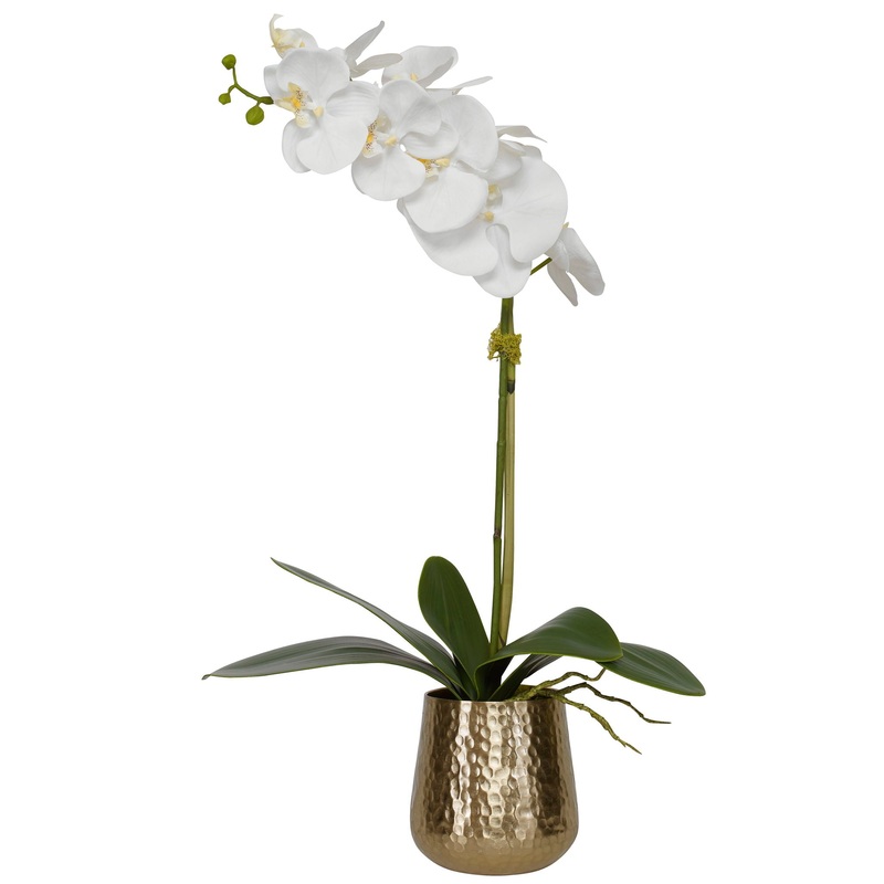 Cami Orchid – Orchid With Brass Pot – White