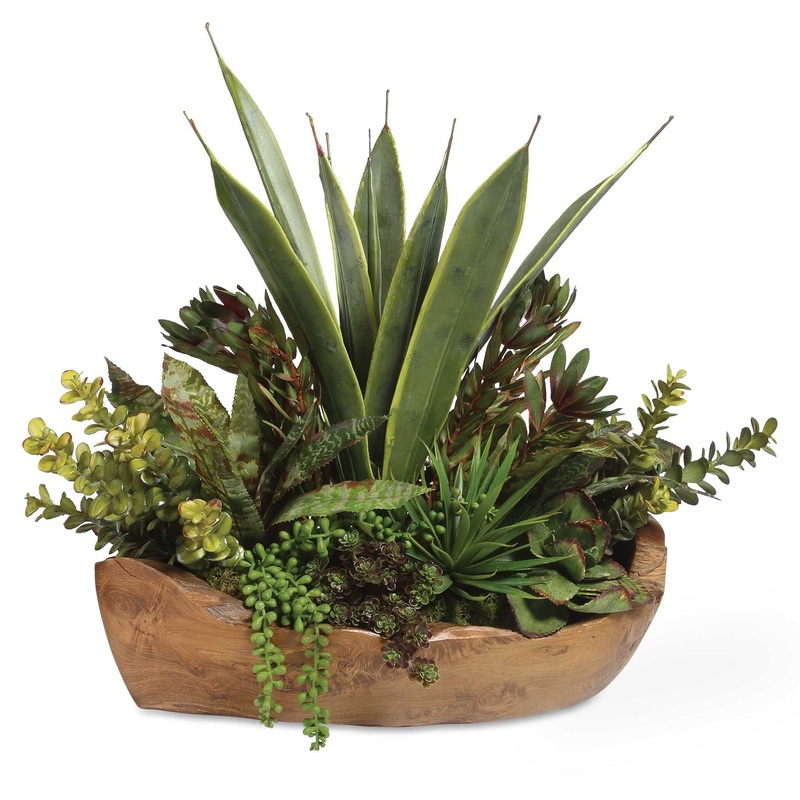 Salar – Succulents In Teak Bowl – Light Brown