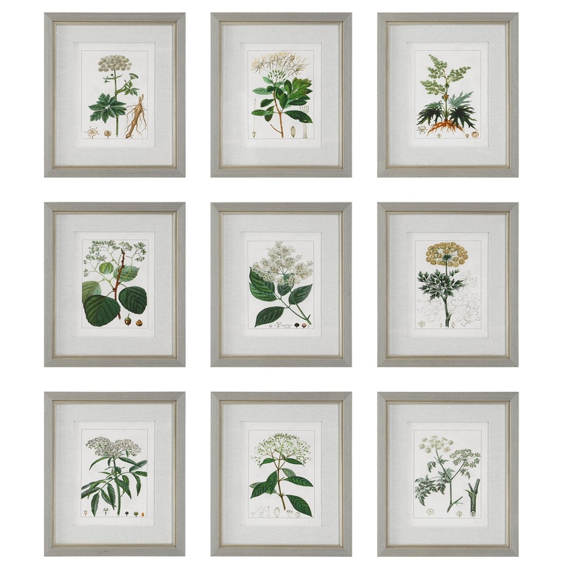 Antique – Botanicals Framed Prints (Set of 9)