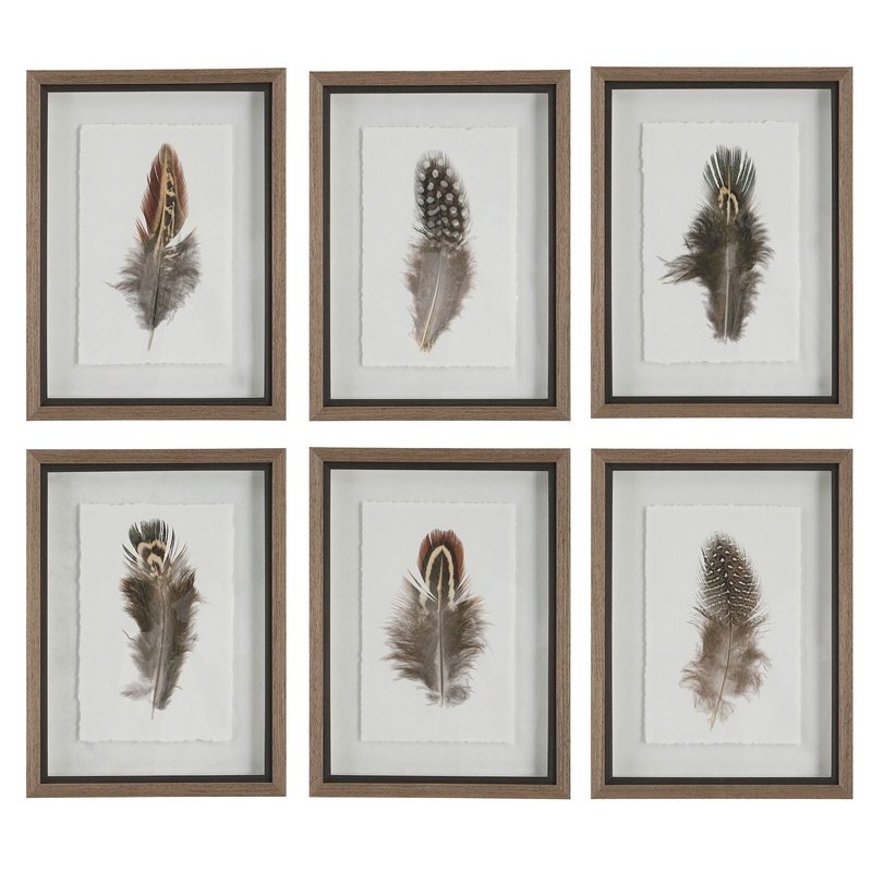Birds Of A Feather – Framed Prints (Set of 6)