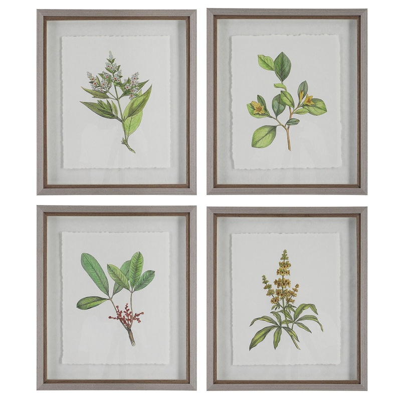 Wildflower Study – Framed Prints (Set of 4)
