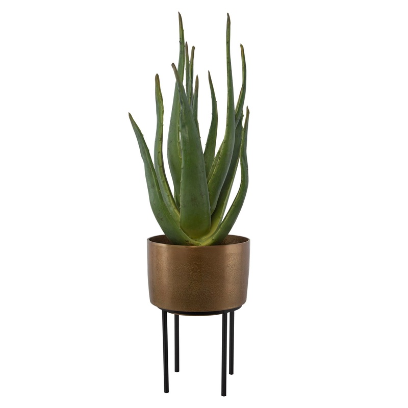 Arabia – Aloe Planter – Brown