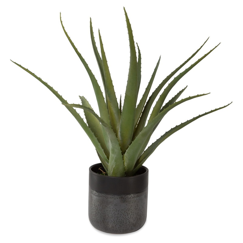 Tucson – Aloe Planter – Black