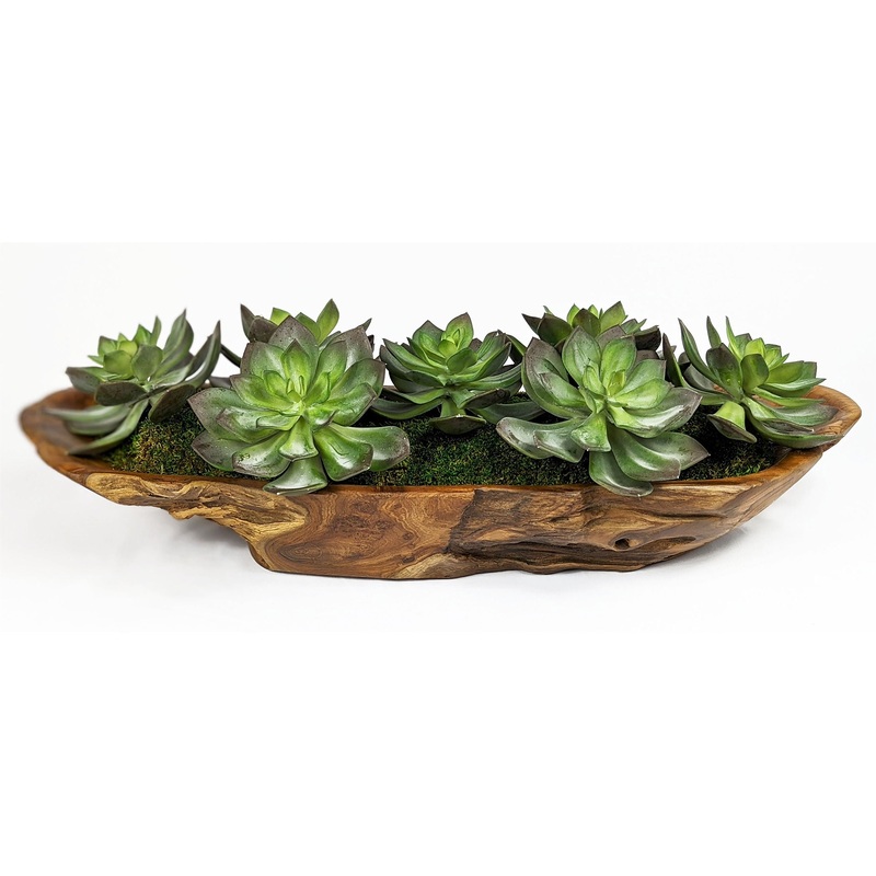Yuma – Succulent Centerpiece – Dark Brown