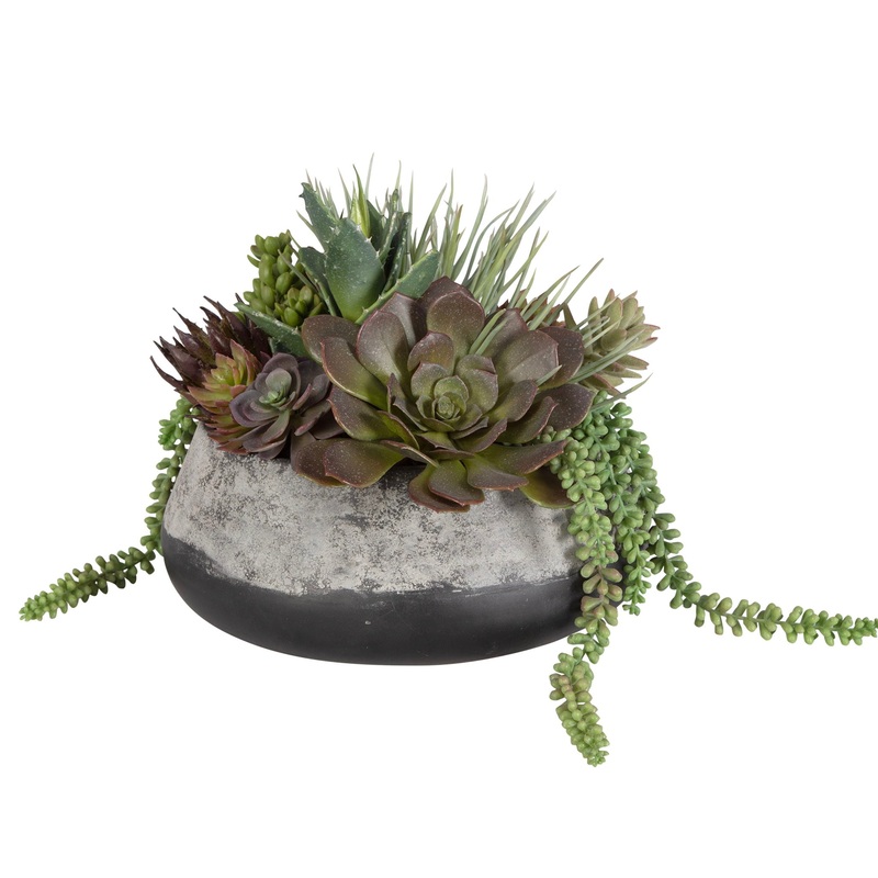 Yuma – Succulent Centerpiece – Gray