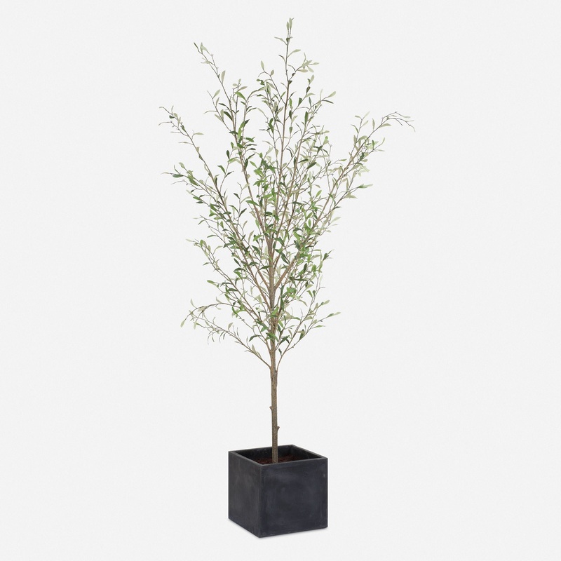 Abundance – Potted Olive Tree – Black