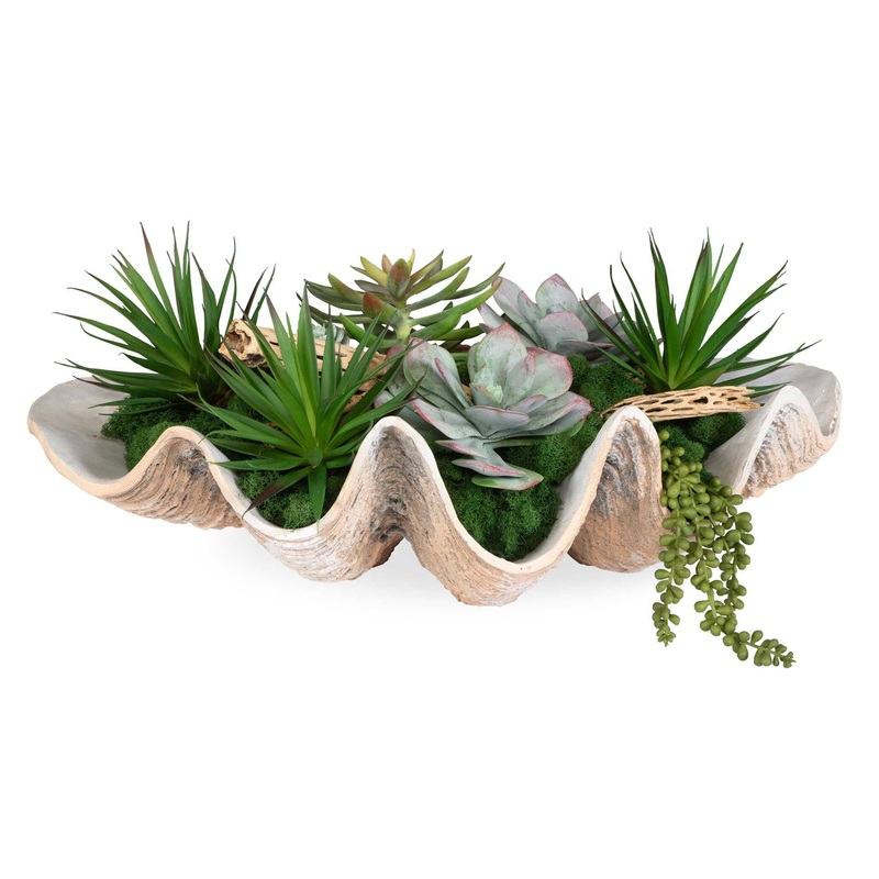 Seaside Breeze – Succulents – Light Brown