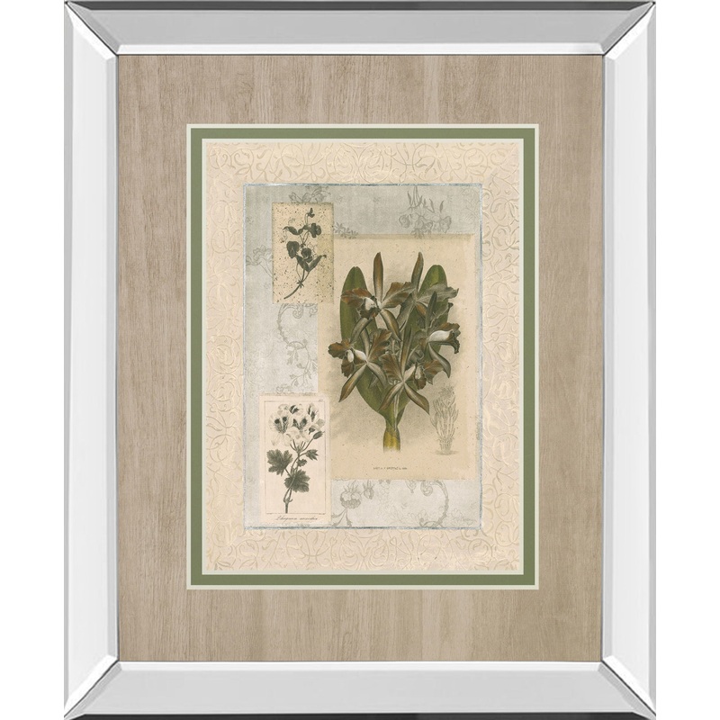 Histoire Du Orchid VII By Carney – Mirror Framed Print Wall Art – Green