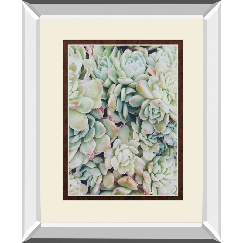 Translucent Succulents By Chelsea Kedron Mirrored Frame – Green