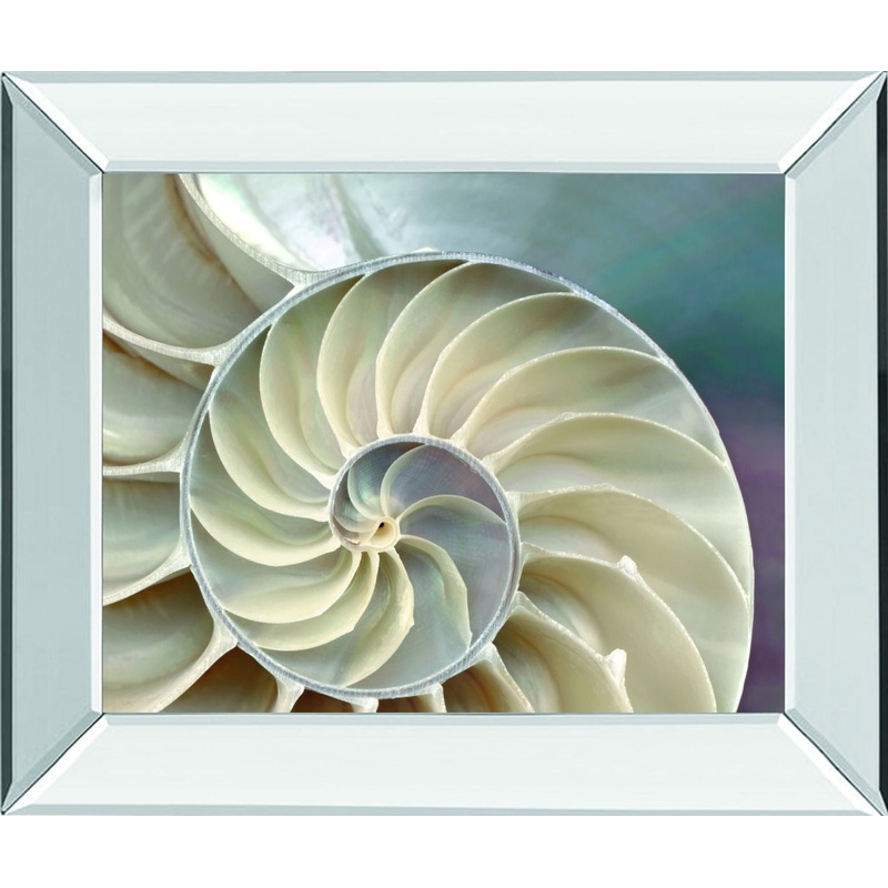 Nautilus By Levine, A. – Mirror Framed Print Wall Art – Beige