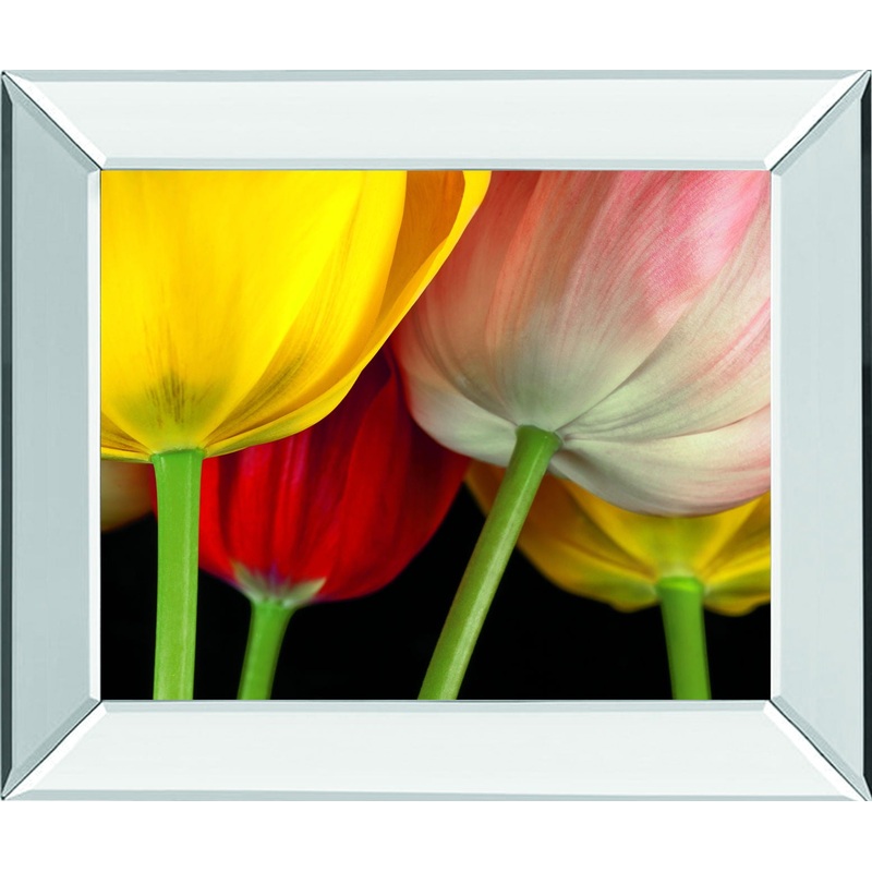 Sunshine Tulips By Frank, A. – Mirror Framed Print Wall Art – Yellow