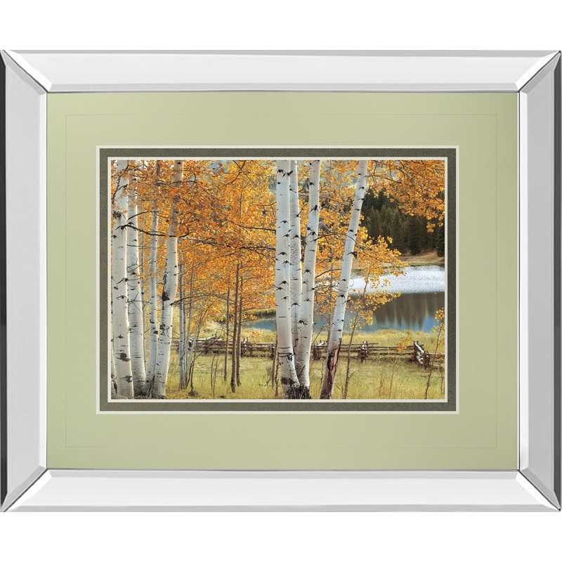 Birch Beauty By Mike Jones – Mirror Framed Print Wall Art – White