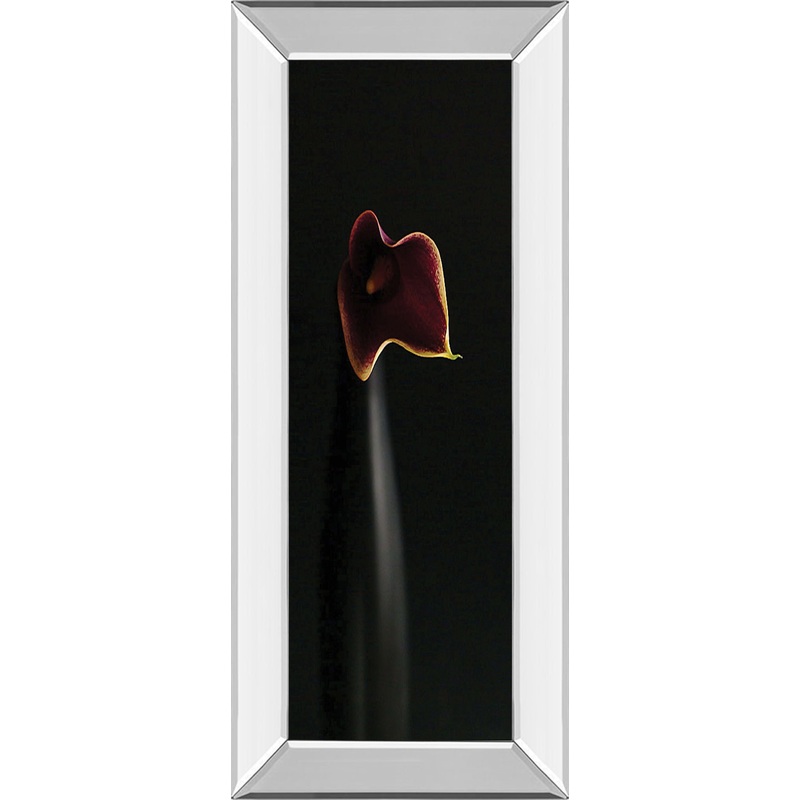 Calla In Ebony By Steven Mitchell – Mirror Framed Print Wall Art – Black