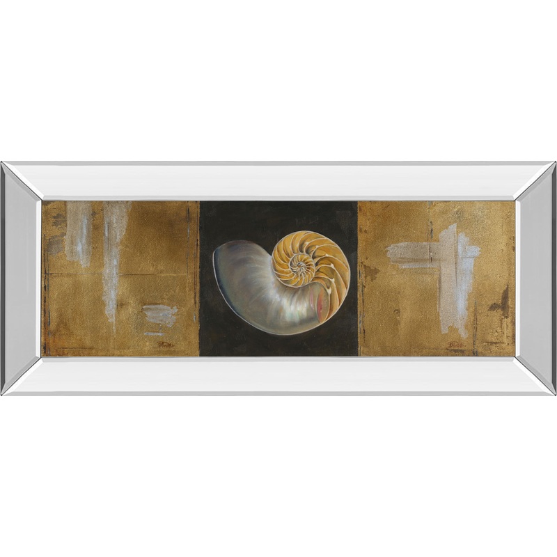 Seashells Il By Patricia Pinto – Mirror Framed Print Wall Art – Yellow