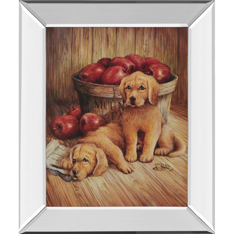 Yellow Labs – Mirror Framed Print Wall Art – Dark Brown
