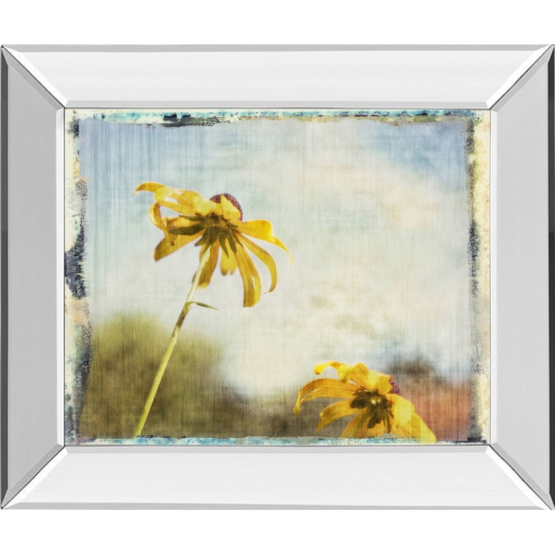 Blackeyed Susan Il By Meghan Mcsweeney – Mirror Framed Print Wall Art – Yellow