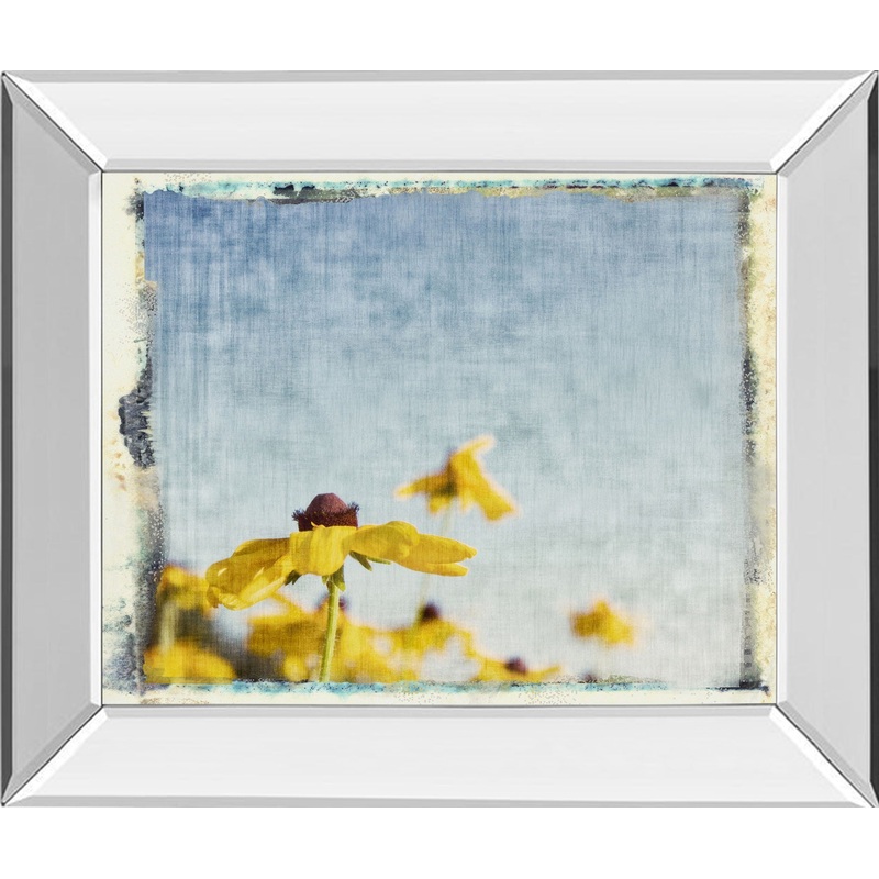 Blackeyed Susan’s I By Meghan Mc Sweeney – Mirror Framed Print Wall Art – Yellow