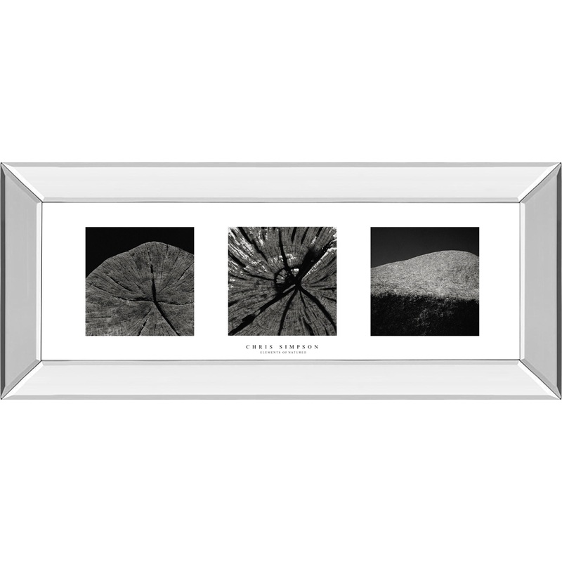 Elements Of Nature 2 By Chris Simpson – Mirror Framed Print Wall Art – Black