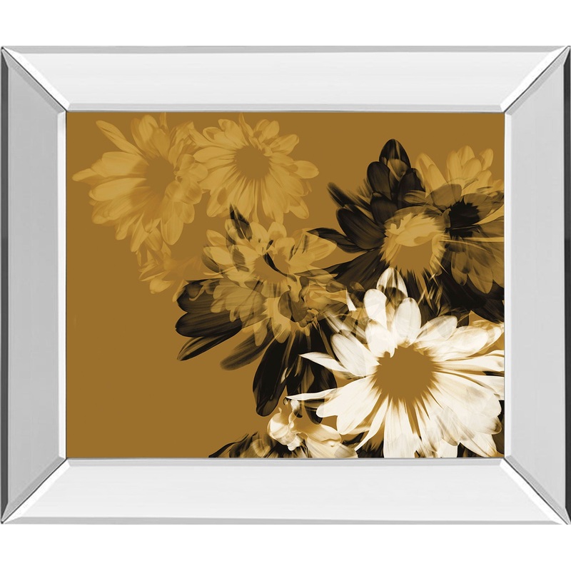 Golden Bloom Il By Mirror Framed Print Wall Art – Dark Brown