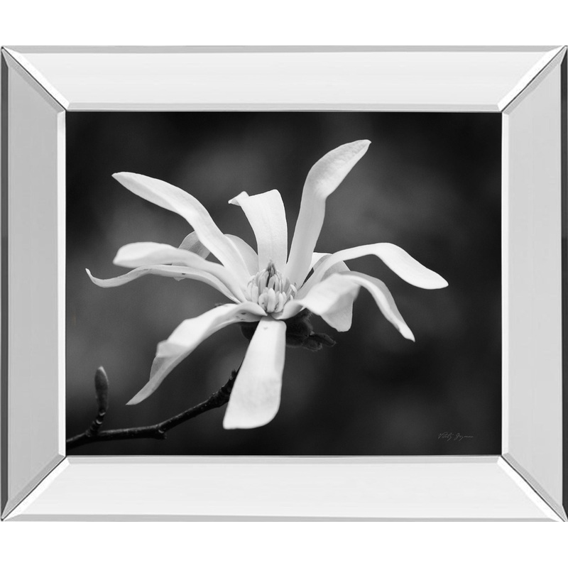 Magnolia Dreams I By Geyman Vitaly – Mirror Framed Print Wall Art – White