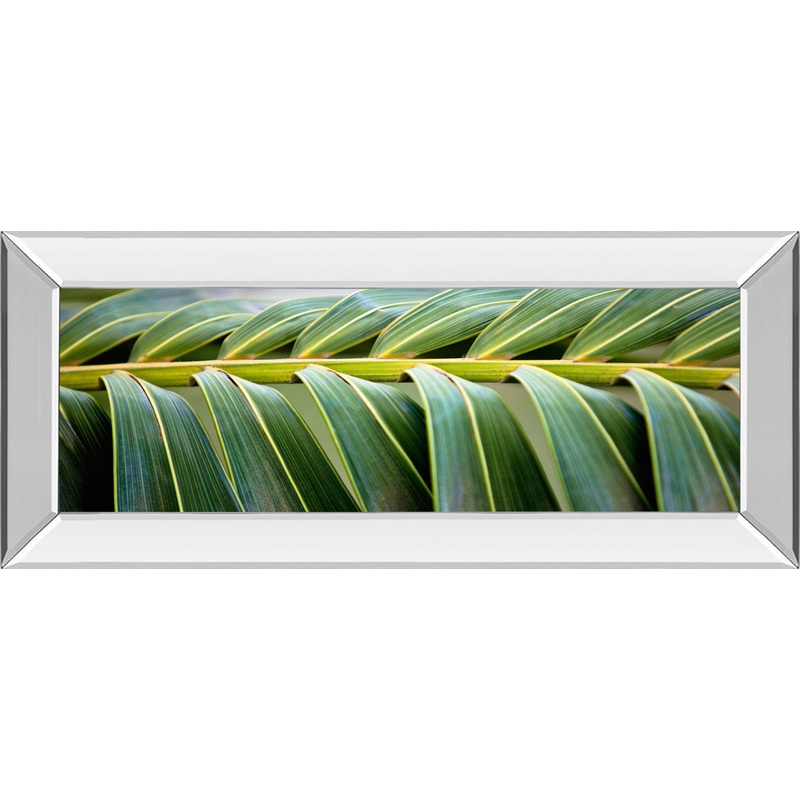 Palma I By Susan Bryant – Mirror Framed Print Wall Art – Green
