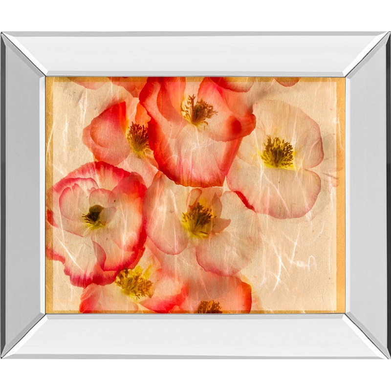 Papaver Dreams III By Harold Davis – Mirror Framed Print Wall Art – Red