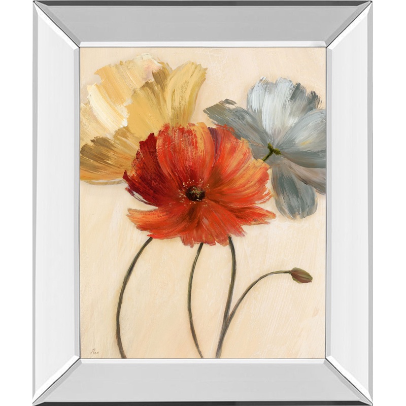 Poppy Palette I By Nan – Mirror Framed Print Wall Art – Red