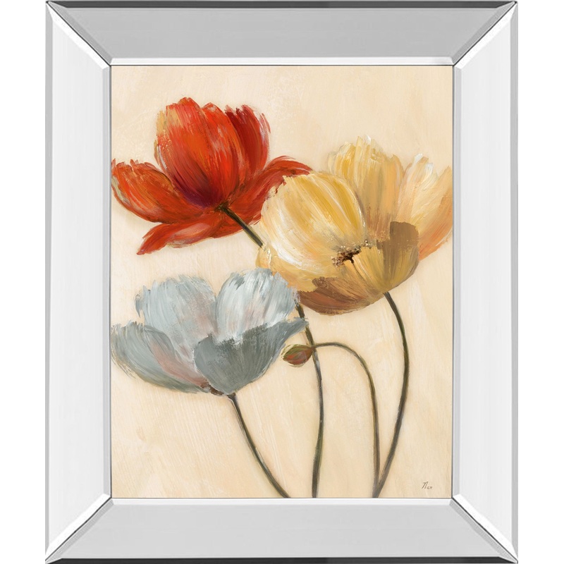 Poppy Palette Il By Nan – Mirror Framed Print Wall Art – Red