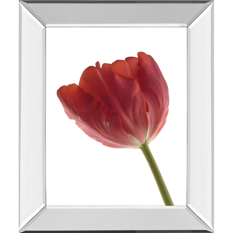 Red Tulip By Art Photo Pro – Mirror Framed Print Wall Art – Red