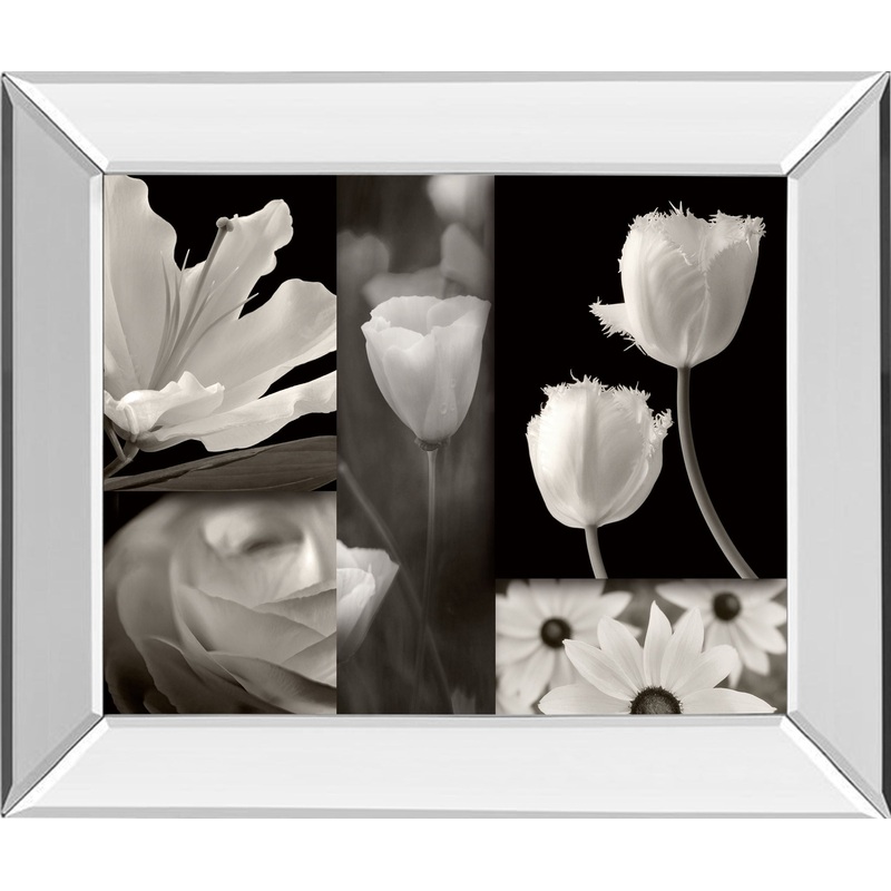 Summer Garden Il By Dennis Frates – Mirror Framed Print Wall Art – White