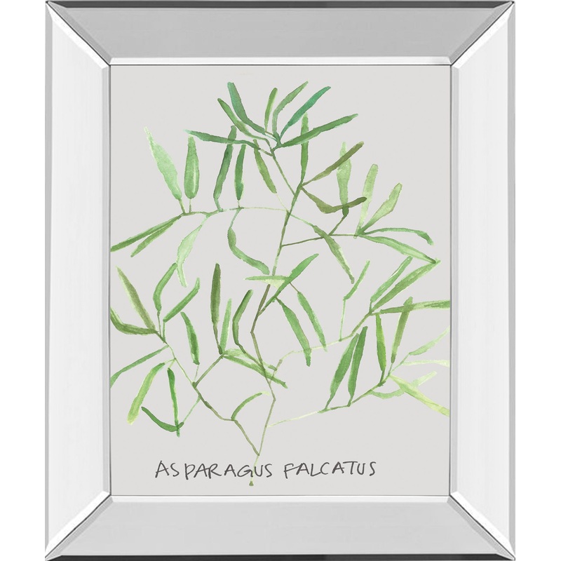 Asparogus Falcatus By Katrien Soeffers – Mirror Framed Print Wall Art – Green