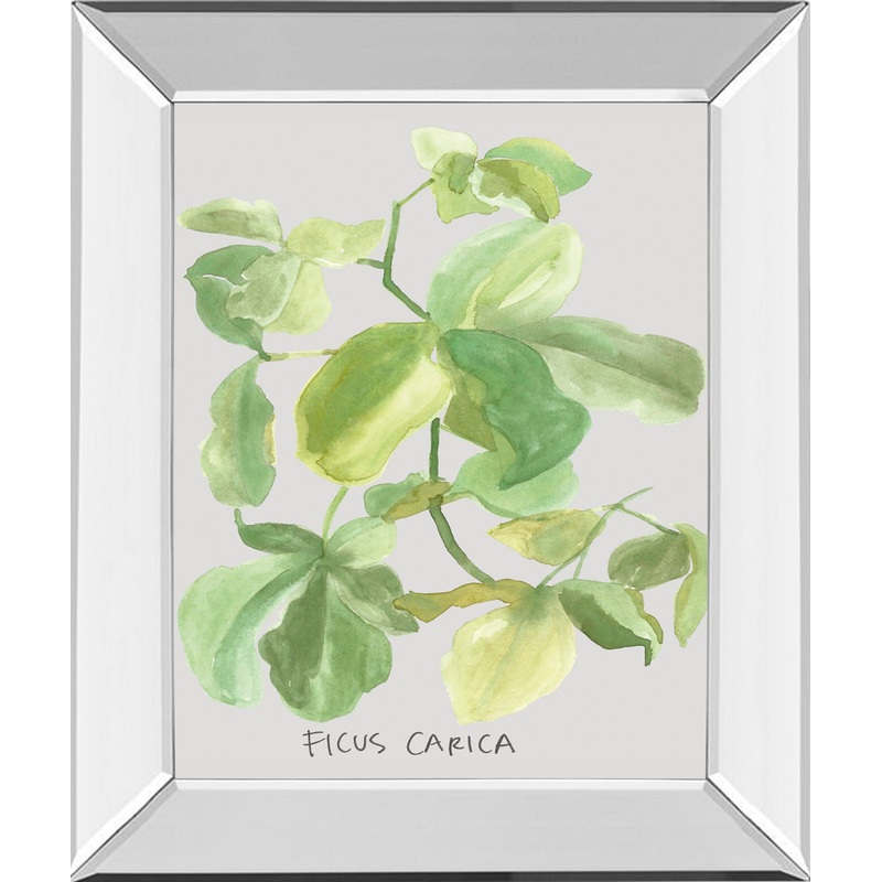 Ficus Carica By Katrien Soeffers – Mirror Framed Print Wall Art – Green