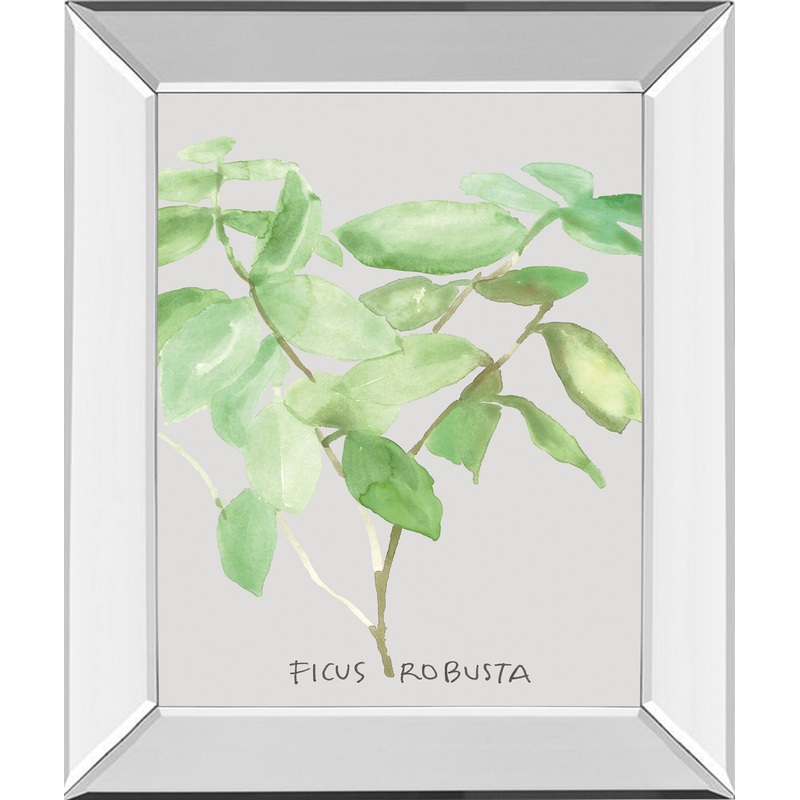 Ficus Robusta By Katrien Soeffers – Mirror Framed Print Wall Art – Green