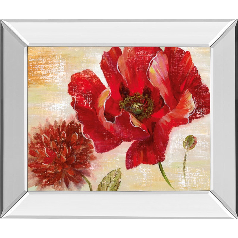 Passion For Poppies Il By Nan – Mirror Framed Print Wall Art – Red