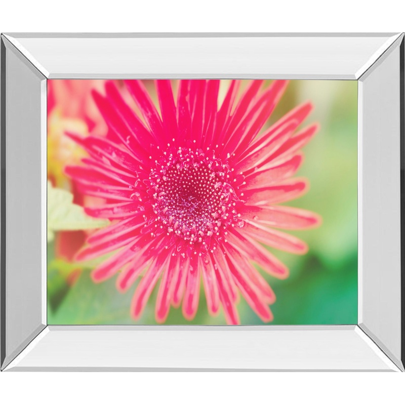 Pink Gerbera By Susan Bryant – Mirror Framed Print Wall Art – Pink