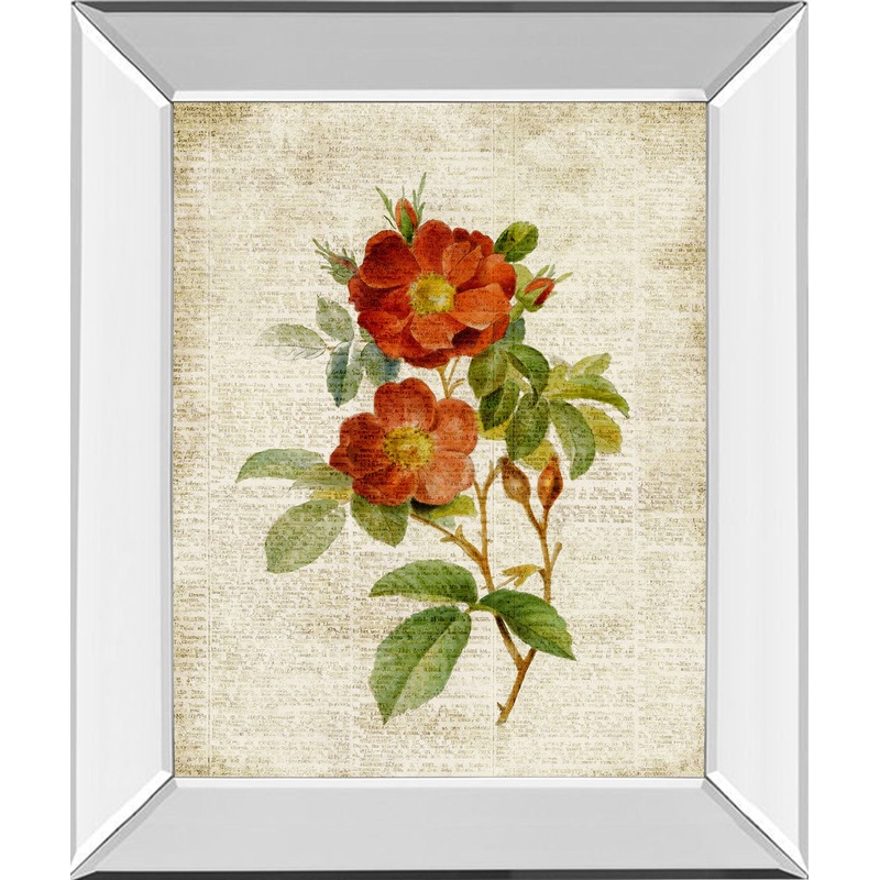 Roses On Newsprint Il By Lanie Loreth – Mirror Framed Print Wall Art – Beige