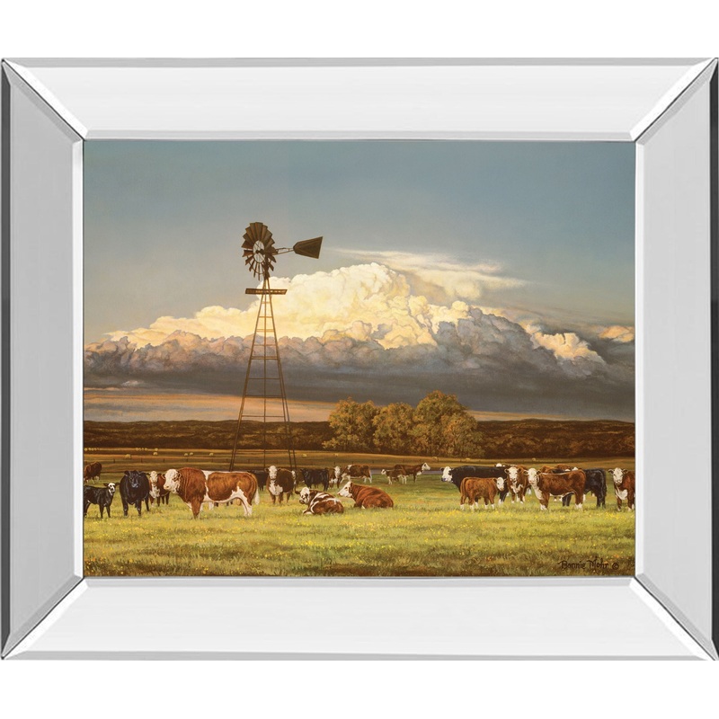 Summer Pastures By Bonnie Mohr – Mirror Framed Print Wall Art – Green