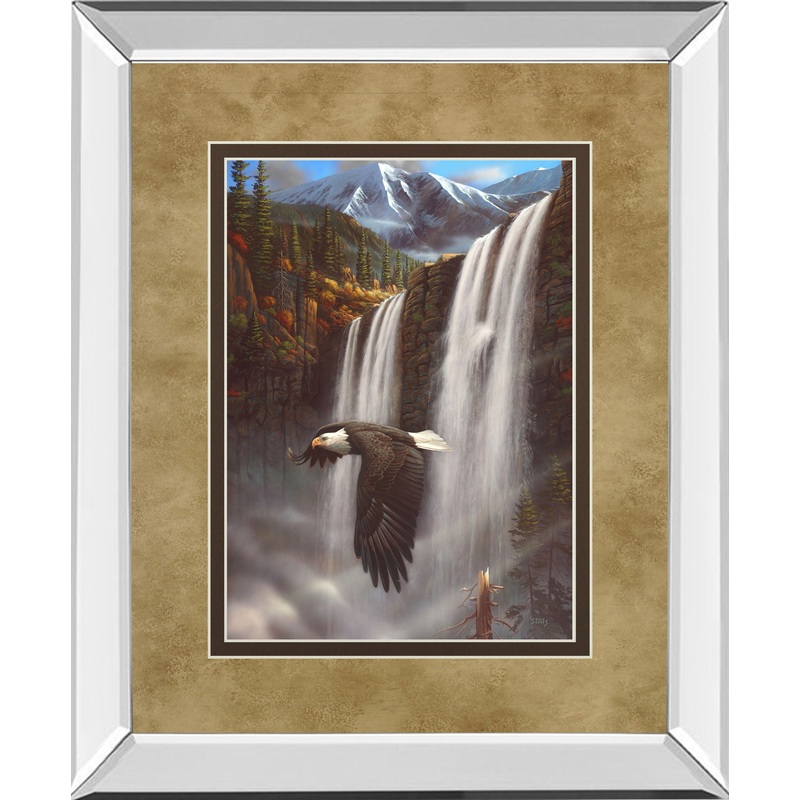Eagle Portrait I By Leo Stans – Mirror Framed Print Wall Art – Black