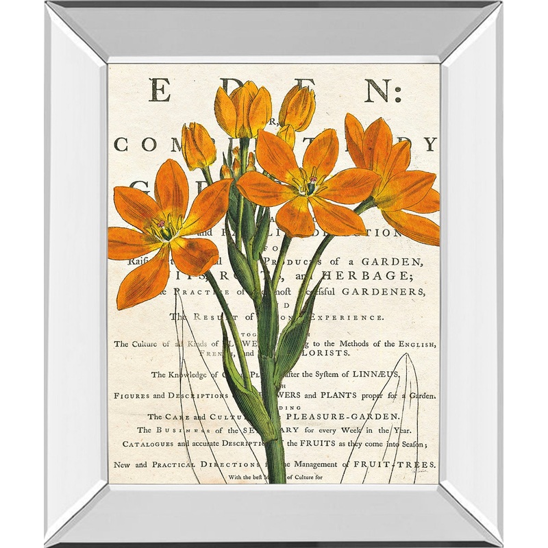Eurphoria Botany By Sue Schlabach – Mirror Framed Print Wall Art – Orange