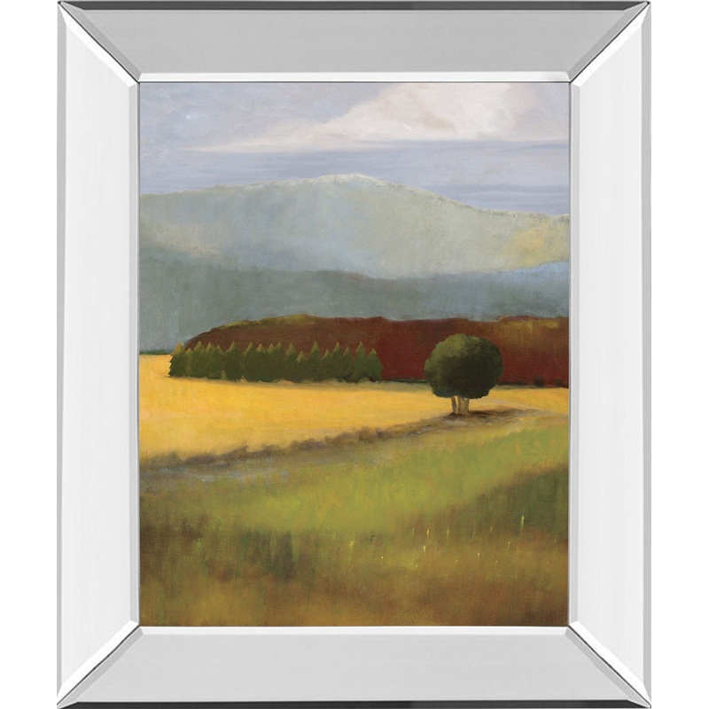 Field Of Gold By Judith D’agostino – Mirror Framed Print Wall Art – Green