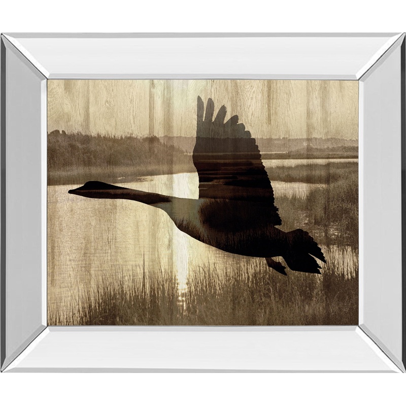 Journey By Tania Bello – Mirror Framed Goose Photo Print Wall Art – Black