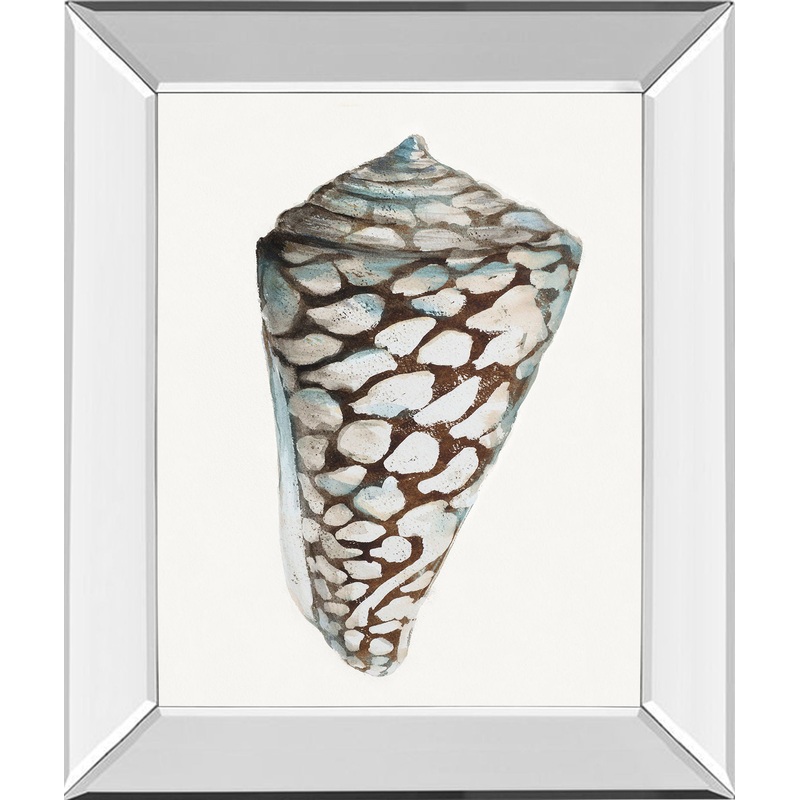 Modern Shell With Teal Il By Patricia Pinto – Mirror Framed Print Wall Art – White