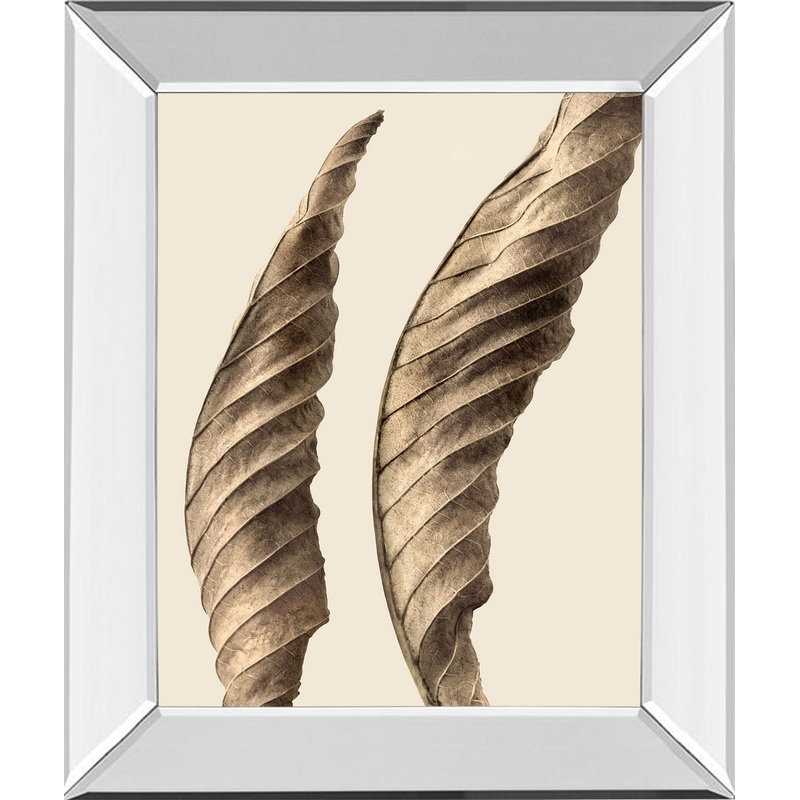Turning Leaves I By Jeff Friesen – Mirror Framed Print Wall Art – Dark Brown