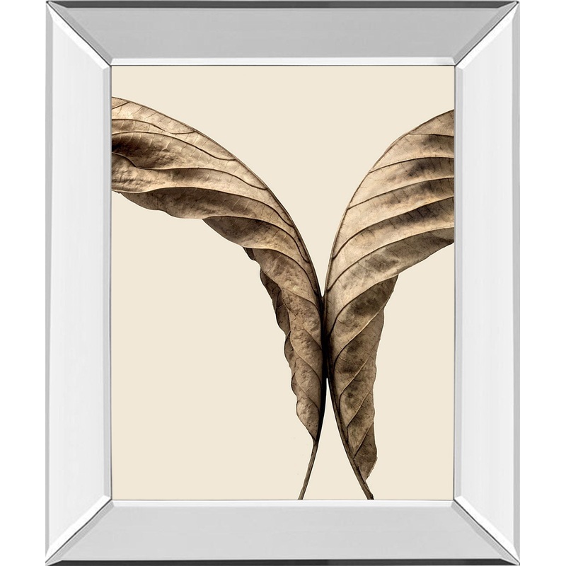 Turning Leaves Il By Jeff Friesen – Mirror Framed Print Wall Art – Dark Brown