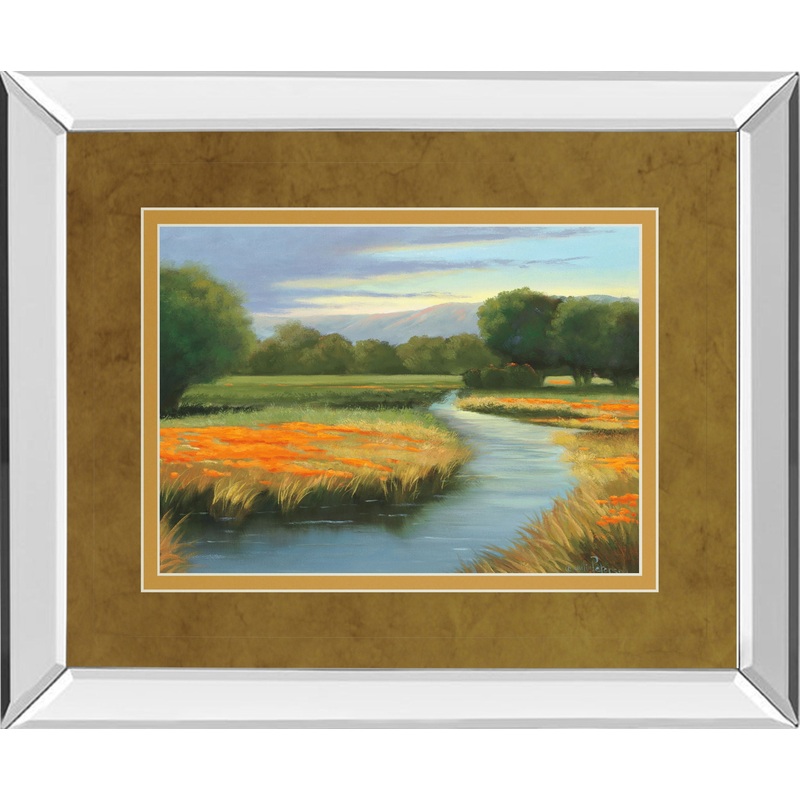 California Orange By Julie Peterson – Mirror Framed Print Wall Art – Gold