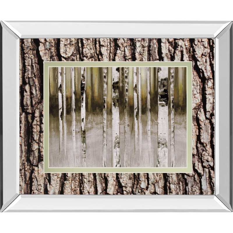 Fern Creek By Susan Jill Double Matted – Mirrored Framed Wall Art – White