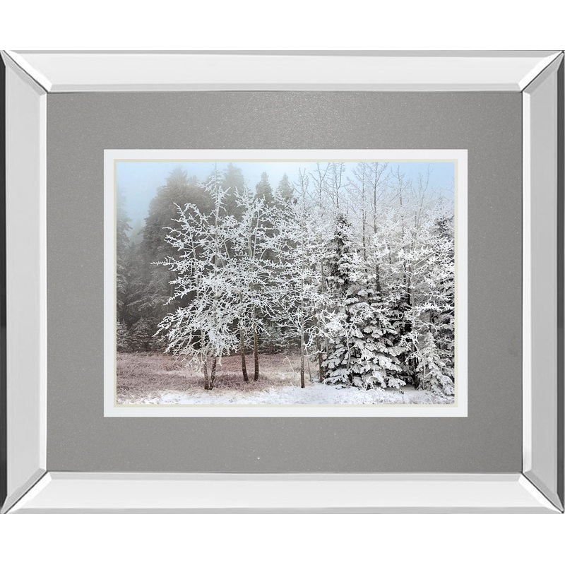Frosty Morning By Mike Jone – Mirror Framed Print Wall Art – White