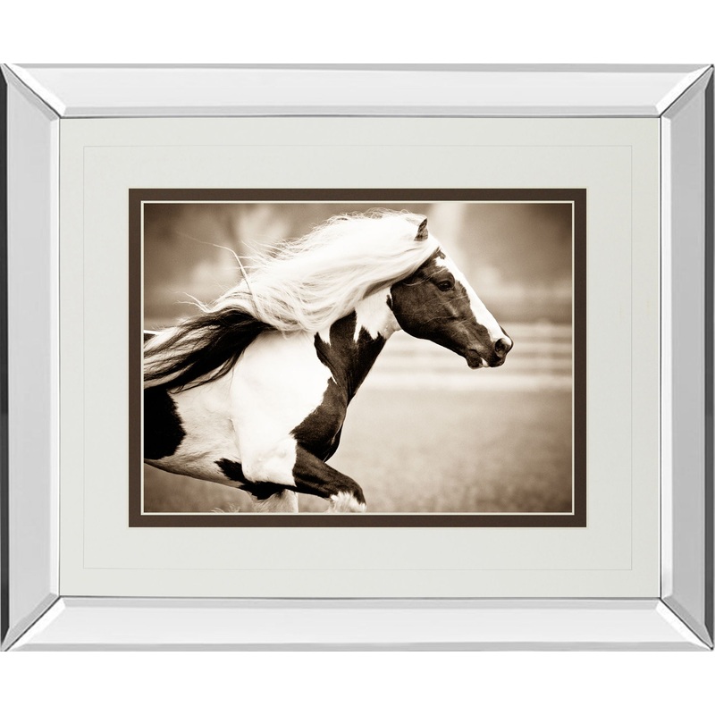 Gypsies Pride By Carol Walker – Mirror Framed Print Wall Art – White